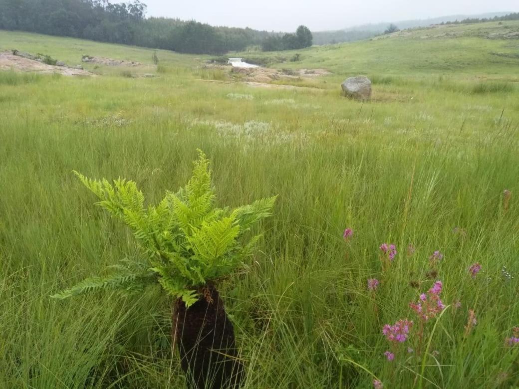 Rocks & Roses Farm Stay Lochiel Bagian luar foto