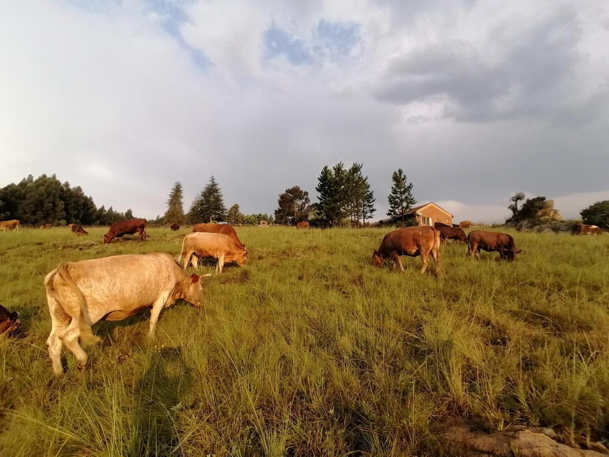 Rocks & Roses Farm Stay Lochiel Bagian luar foto