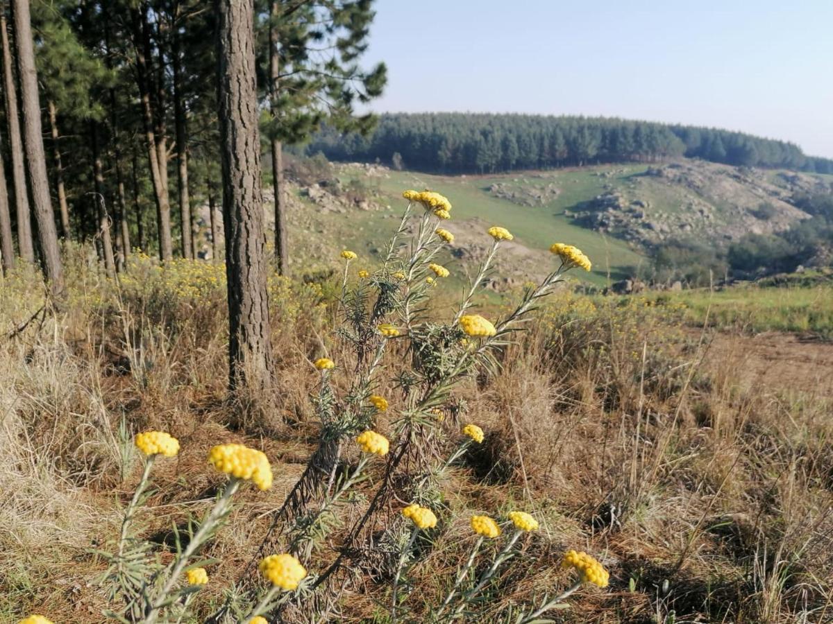 Rocks & Roses Farm Stay Lochiel Bagian luar foto