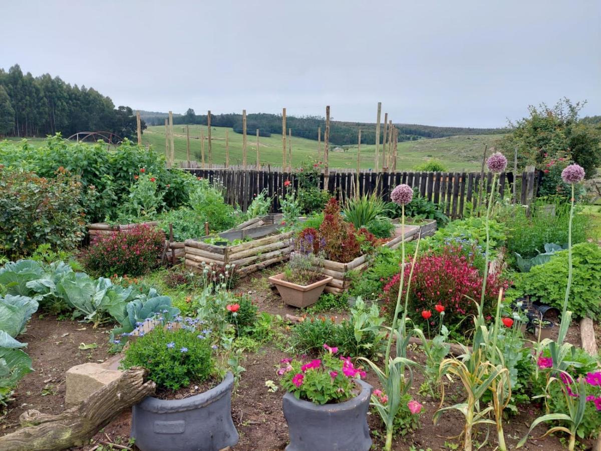 Rocks & Roses Farm Stay Lochiel Bagian luar foto