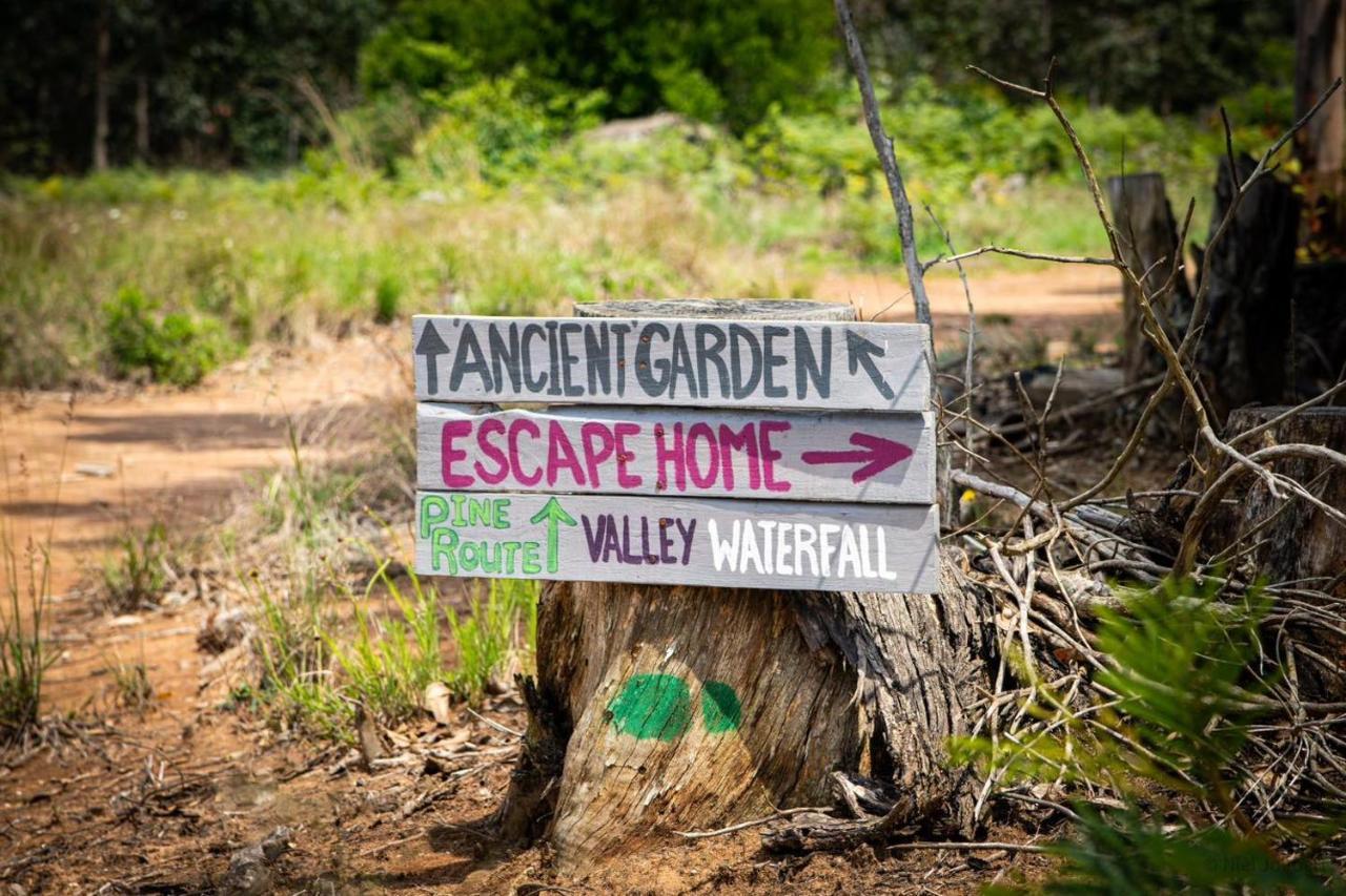 Rocks & Roses Farm Stay Lochiel Bagian luar foto