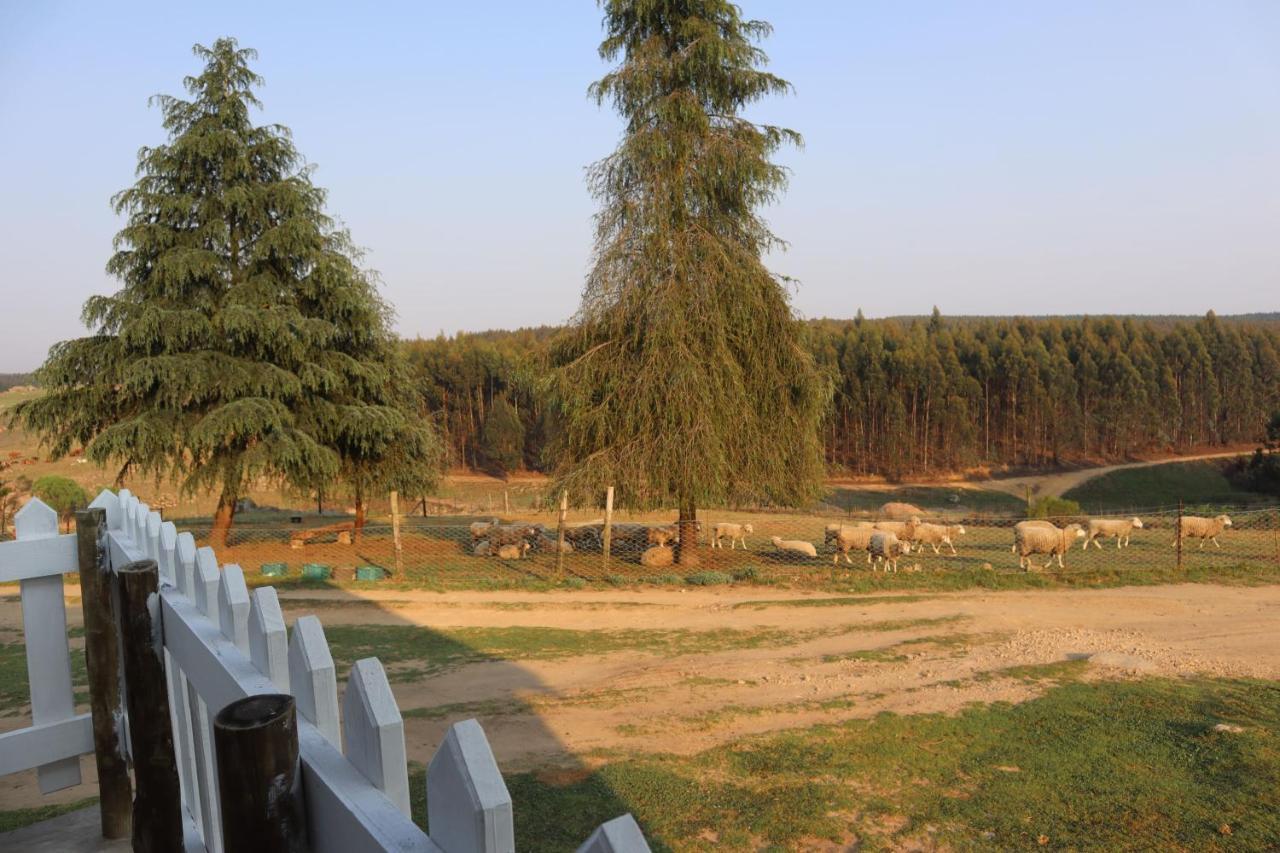 Rocks & Roses Farm Stay Lochiel Bagian luar foto